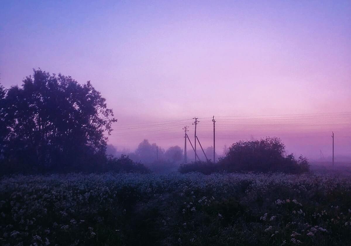 乐鱼体育APP：掌心里的体育新纪元，带你畅享全场景观赛体验