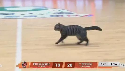 歐聯戰報-5+3！陈国豪暴揍老东家！CBA又一奇葩条款诞生